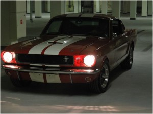 Mustang1.1